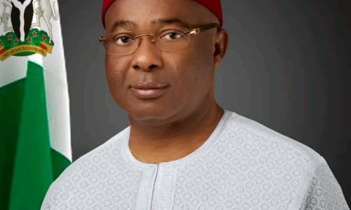 US-based Venture launches N600bn  Scheme to Boost Imo’s Grassroots Business initiatives 