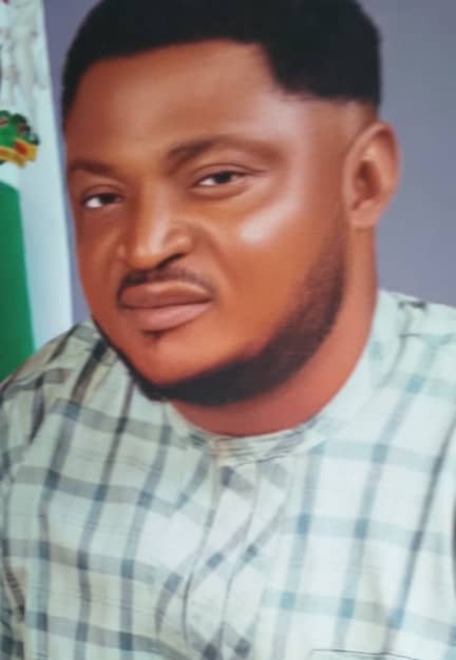 Hon. Uchenna Anaege: We Are Proud Of Your Massive Achievements – Naze Cluster Cattle Dealers 