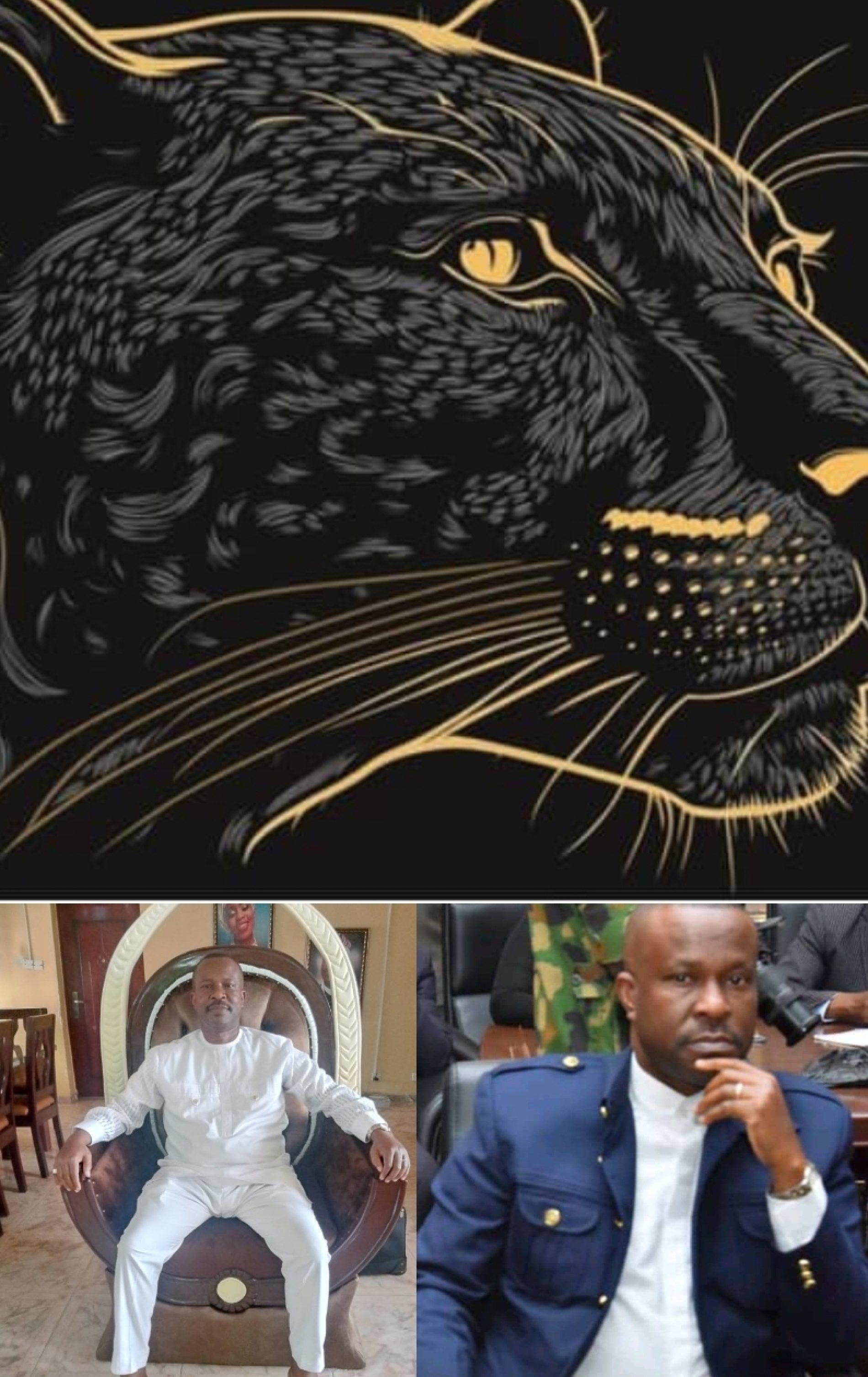 UGORJI AND THE PANTHER IMAGERY: Why Dr. Ugorji’s Unique Profile Looms Large in the Imo Succession Race