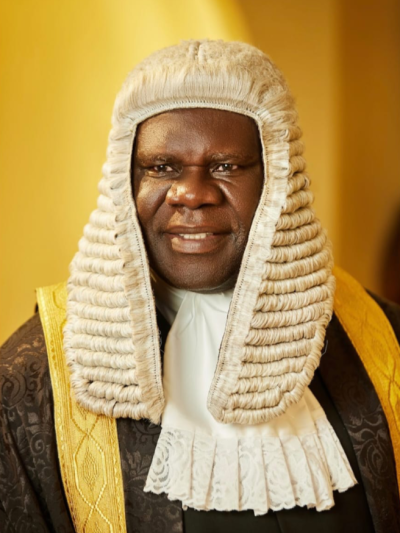 Democratic Governance In Nigeria: The Challenge Of Electoral Credibility -By Prof Nnamdi Obiaraeri SAN 